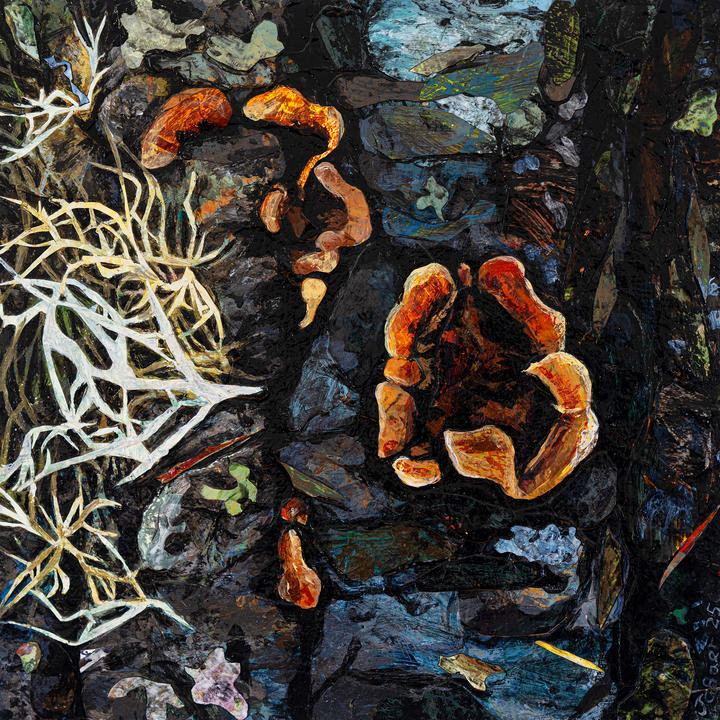 Mixed media on wood panel of Hairy Curtain Crust (Stereum hirsutum)