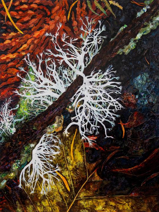 Mixed media on wood panel of Western Red Cedar (Thuja plicata)