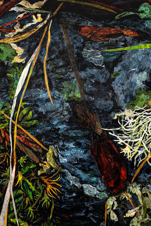 Mixed media on Arches paper of Bigleaf Maple Seed